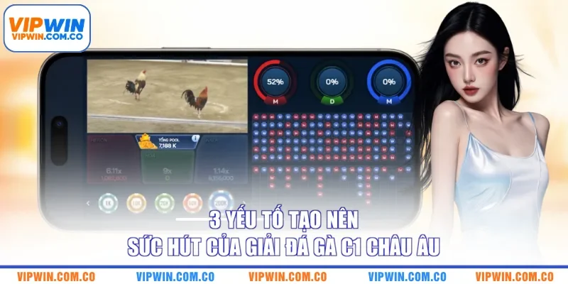 3 Yếu Tố Tạo Nên Sức Hút Của Giải Đá Gà C1 Châu Âu